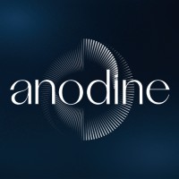 anodine logo - Similar company to Funcell