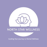 North Star Wellness LLP logo - Similar company to Compassion Coherence Llp.