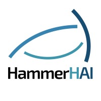 HammerHAI logo - Similar company to Excellerat
