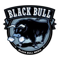 Black Bull Media LLC logo - Similar company to Ace Universe
