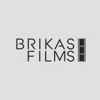 Brikas Films logo - Similar company to Securezone Fire & Securities
