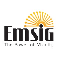 EmsiG مجموعه شرکت های رهروان ایساتیس logo - Similar company to Complement'Hair