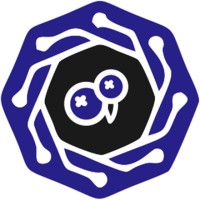 Blueberry Security logo - Similar company to Quantum Cloud Consulting