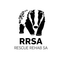 Rescue Rehab South Africa logo - Similar company to Gotcare