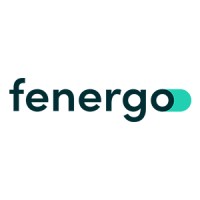 Fenergo logo - Similar company to Ergo