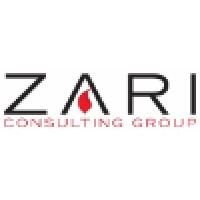Zari Consulting Group, Inc. logo - Similar company to Skynet Systems Ltd