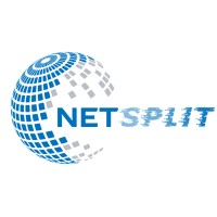 NetSplit logo - Similar company to Ucsb Technology Management