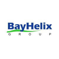 The BayHelix Group logo - Similar company to Aptitude Medical Systems