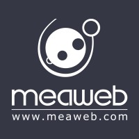 MeaWeb SPRL logo - Similar company to Netbee