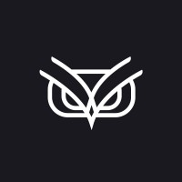 Onyx Software Lab logo - Similar company to Pingaksho Technologies