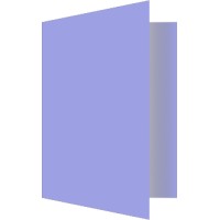 Next Chapter logo - Similar company to Underdog Devs