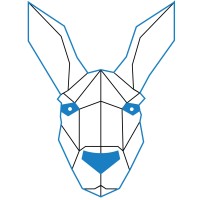 KingKang logo - Similar company to Notacap
