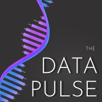 The Data Pulse logo - Similar company to Data Pulse