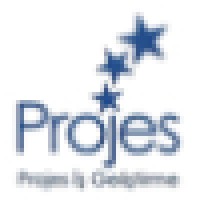 Projes İş Geliştirme Danışmanlık Ve Proje Yonetimi A.Ş.