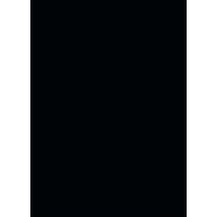 Army Store logo - Similar company to First Class Store Ltd.