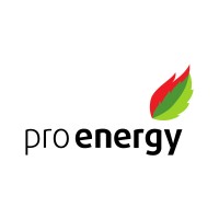Pro-Energy logo - Similar company to Інформаційні Спеціалізовані Системи