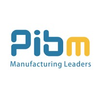 PIBM Group of Institutes logo - Similar company to Ramanbyte