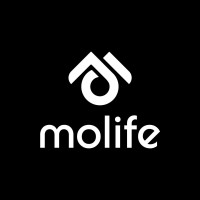 Molife World logo - Similar company to Maxobull