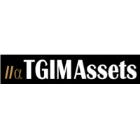 TGIM Assets logo - Similar company to Demming Financial Services Corp.