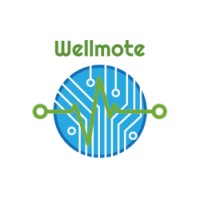 Wellmote LLC logo - Similar company to Wellmore