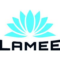 LAMEE SOFTWARE S.L. logo - Similar company to Creative Ltd.