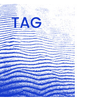 TAG - Tellus Advisory Global logo - Similar company to Efficient Recruitment