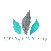 Livingston Compliance & Advisory Jamaica logo - Similar company to Bdo Jamaica