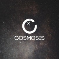 Cosmosis logo - Similar company to Burdy