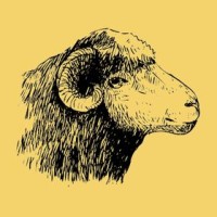 The Cozy Sheep