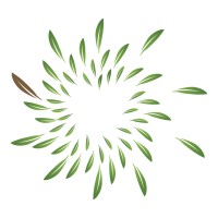 Melaleuca Australia logo - Similar company to Splash Squad