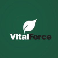 VitalForce logo - Similar company to Sercon Barretos Serviços Contábeis