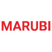 MARUBI(603983.SH) logo - Similar company to Voolga Usa