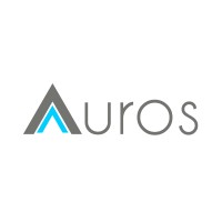 Auros Elevadores logo - Similar company to I9 Br Group