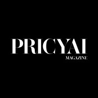 PriCyai Magazine logo - Similar company to Integrative Privacy Llc