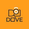 DOVE SERVICES logo - Similar company to Nowerox Nigeria Limited