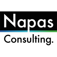 Napas Consulting logo - Similar company to Roll Business