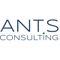 ANTS Consulting IDF logo - Similar company to Ants Technology & Consulting Bv