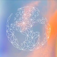 AURAMIND logo - Similar company to Konnektom Solution