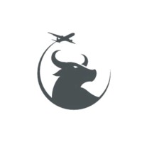 Services Aériens Flying Beef Aviation Services