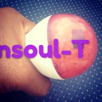 Insoul-T INDIA logo - Similar company to Scheduleme