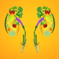 Kidney Nutrition Matters LLP logo - Similar company to Kidneydiet