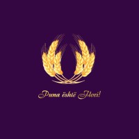 Pune.al logo - Similar company to Skyhigh Hr