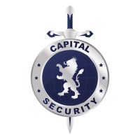 Capital Security logo - Similar company to Protectrans