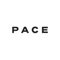 Pace Development Group logo - Similar company to Henny