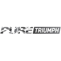 Pure Triumph logo - Similar company to Project 39 Pte Ltd