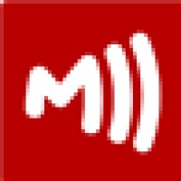 Multinet logo - Similar company to Multinet Systems Ltd
