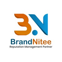 Brandnitee Media logo - Similar company to Sproutyourbrand