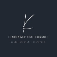 Lindinger Cso Consult