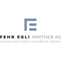 FEHR EGLI PARTNER AG logo - Similar company to Bib Consulting Gmbh