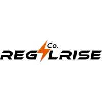RegalRise logo - Similar company to Orbits.